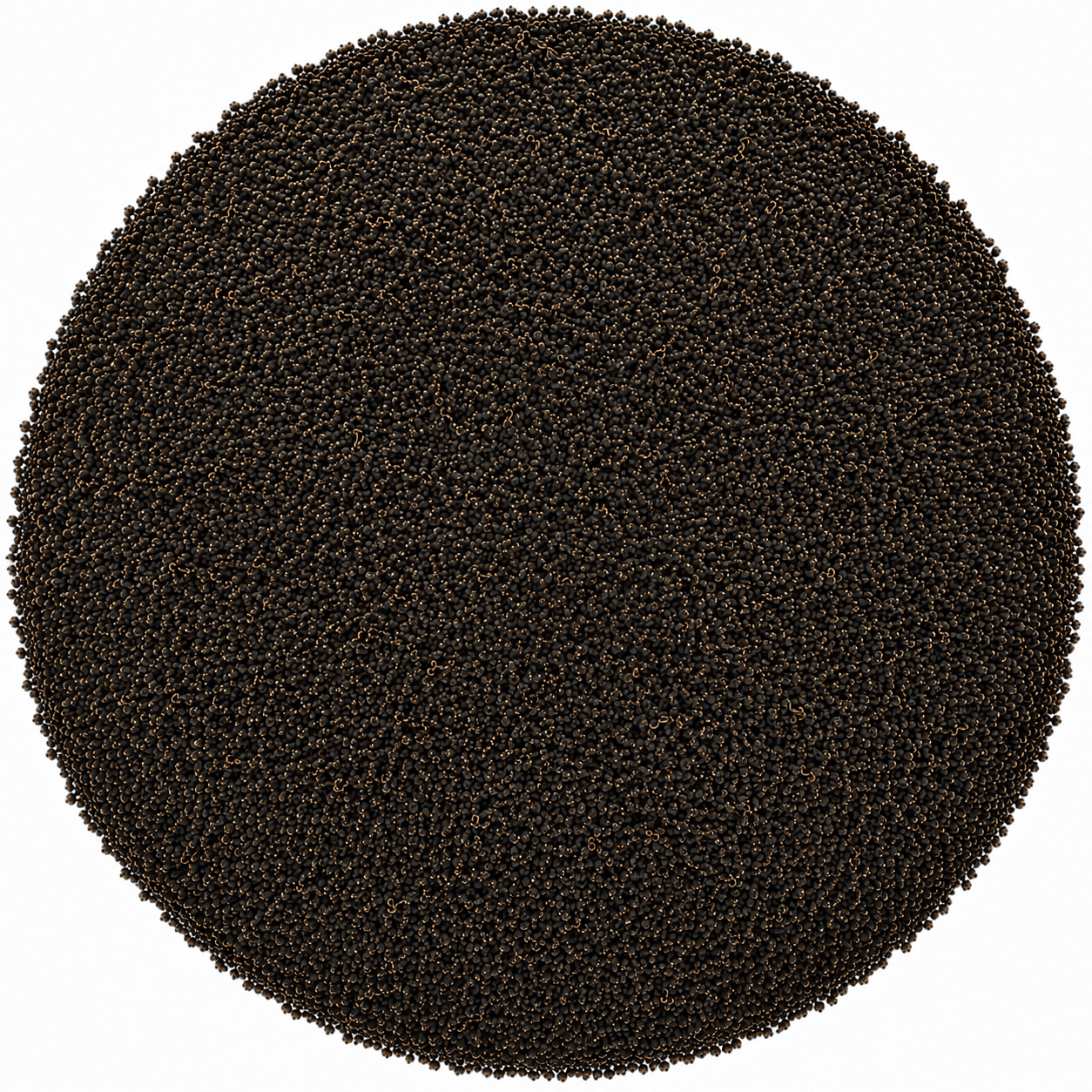 FBOPFSP